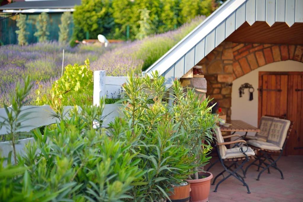 Levendula Vendeghaz Lovas Villa Exteriör bild